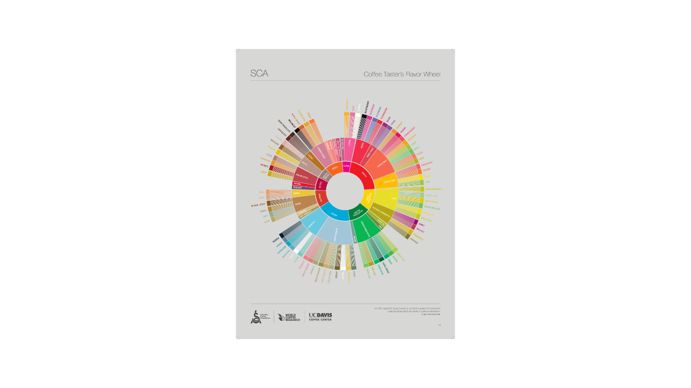 
                  
                    SCA Flavor Wheel Poster English
                  
                