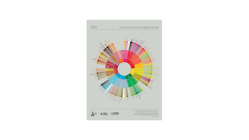 SCA Flavor Wheel Spanish