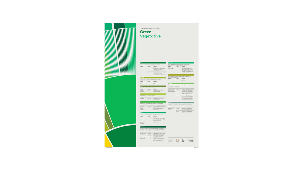 SCA Flavour Poster Green Vegetative