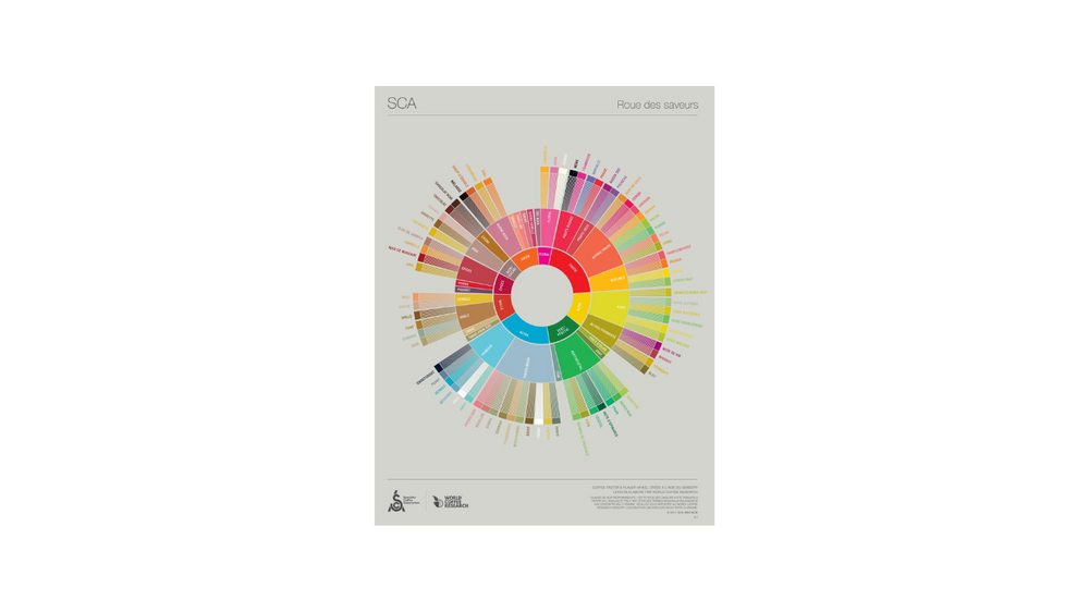SCA Taster Wheel French